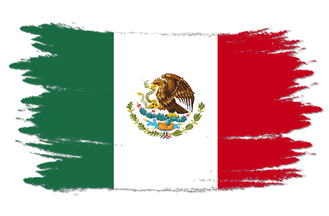 BANDERA producto